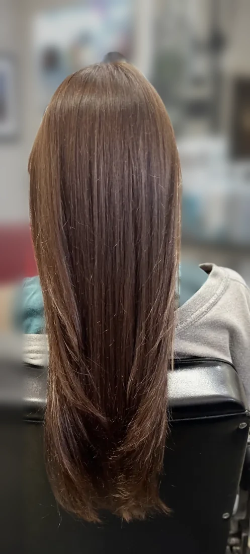 Glass-smooth long brunette hair, back view