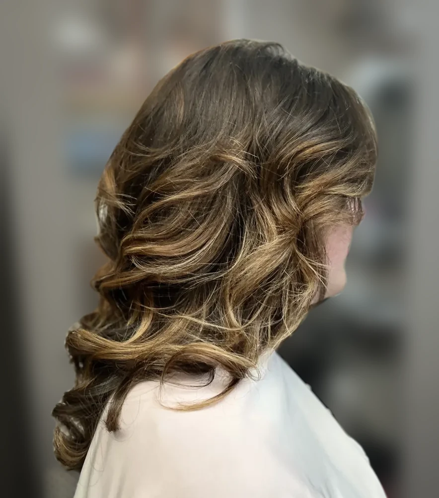 Long dark hair with fine golden highlights, back view